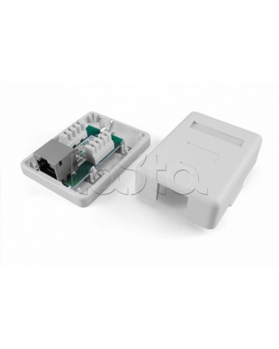 Розетка компьютерная RJ-45(8P8C) Hyperline SB1-1-8P8C-C5e-SH-WH во Владивостоке Розетки компьютерные и телефонные Pintop.ru