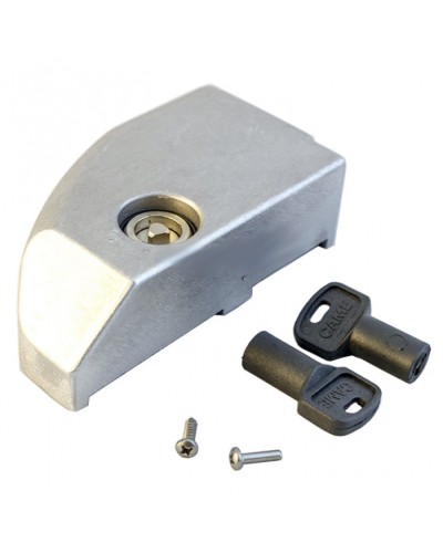 Дверца замка разблокировки BK Came 119RIBK012 во Владивостоке Запчасти для шлагбаумов и автоматики Pintop.ru