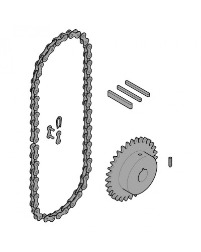 Передающая система (цепь и звездочки) C005 Came 119RICX016 во Владивостоке Запчасти для шлагбаумов и автоматики Pintop.ru