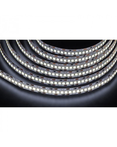 Лента светодиодная Navigator 14 459 NLS-2835CW240-24-IP20-12V во Владивостоке Источники света(Лампы) Pintop.ru