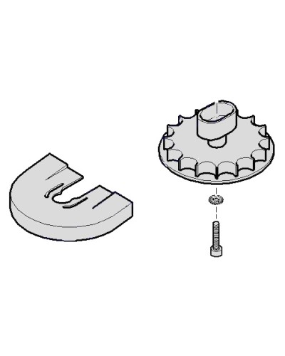 Шестеренка для C001 Came 119RICX004 во Владивостоке Запчасти для шлагбаумов и автоматики Pintop.ru