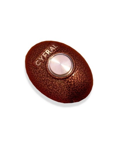 Кнопка открывания двери Цифрал КОДсП-4 во Владивостоке Многоабонентные устройства Pintop.ru