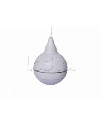 Оповещатель речевой подвесной ТРОМБОН Глагол ПШ-10 во Владивостоке Система оповещения и трансляции Pintop.ru