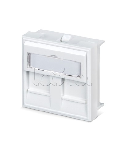 Вставка 45x45 (аналог Mosaic) для 2 модулей формата Keystone Jack Cabeus FP-45-2M во Владивостоке Модули Keystone Pintop.ru