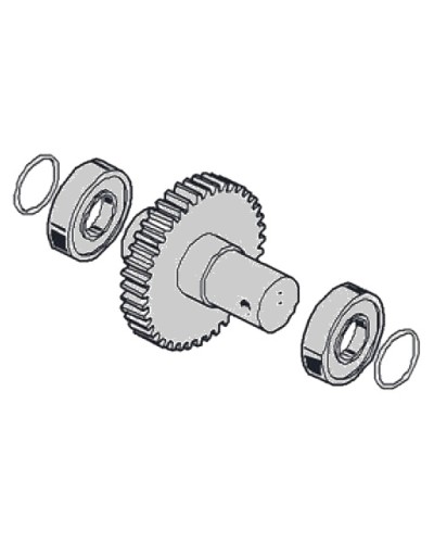 Моторедуктор G2081 G2081I Came 119RIG197 во Владивостоке Запчасти для шлагбаумов и автоматики Pintop.ru