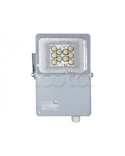 Прожектор светодиодный Forteza ФОСФОР-40/60-А (металл) во Владивостоке Аксессуары для средств охраны периметра Pintop.ru