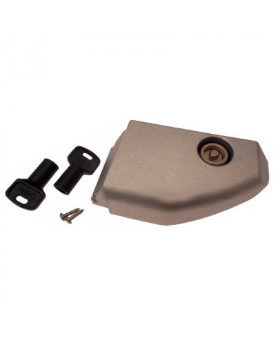 Дверца разблокировки с замком BX Came 119RIBX008 во Владивостоке Запчасти для шлагбаумов и автоматики Pintop.ru