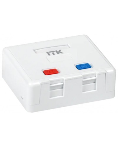 Корпус настенной розетки для 2 мод. Keystone Jack ITK (CS2-022) во Владивостоке Коннекторы Pintop.ru