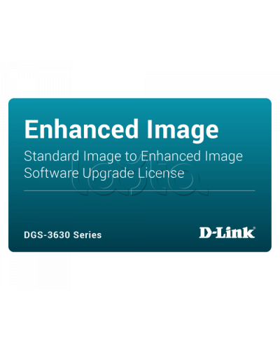 ПО D-Link DGS-3630-28PC-SE-LIC во Владивостоке Беспроводное оборудование Pintop.ru