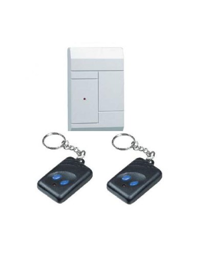 Комплект приёмник RR-1R + 2 брелока RFG-1 Альтоника Риф Ринг RR-1 во Владивостоке Радиоканальные системы безопасности Pintop.ru