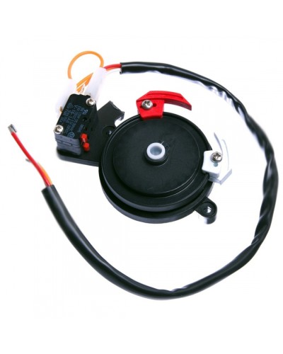 Концевые микровыключатели в сборе BX-243 Came 119RIBX041 во Владивостоке Запчасти для шлагбаумов и автоматики Pintop.ru