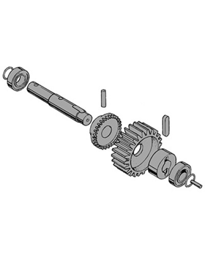 Вал в сборе C-BY Came 119RIC031 во Владивостоке Запчасти для шлагбаумов и автоматики Pintop.ru