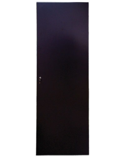 Дверь задняя для шкафов серии Business металл, 42U, ширина 600 мм TWT TWT-CBB-DRM1-42U-6 во Владивостоке Аксессуары для стоек и шкафов Pintop.ru