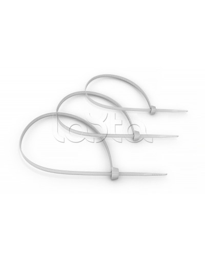 Стяжка нейлоновая неоткрывающаяся, безгалогенная (halogen free) 100x2.5мм, (100 шт) Cabeus CT-100 во Владивостоке Аксессуары для кабель-канала Pintop.ru