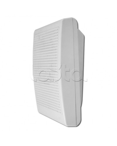 Модуль акустический С-Т-100 3/5 (ИП Раченков А.В.) во Владивостоке Оповещатели Pintop.ru