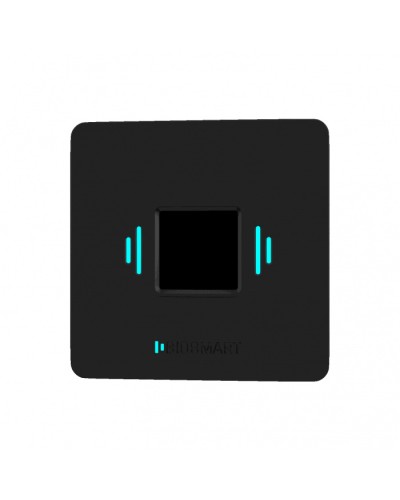 Считыватель вен ладоней BioSmart PALMJET BOX (крепление на плоскость) во Владивостоке Считыватели Pintop.ru