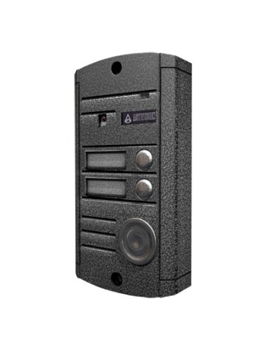 Видеопанель вызывная накладная цветная на 2 абонента Activision AVP-452 (PAL, антик) во Владивостоке Вызывные видеопанели малоабонентные Pintop.ru