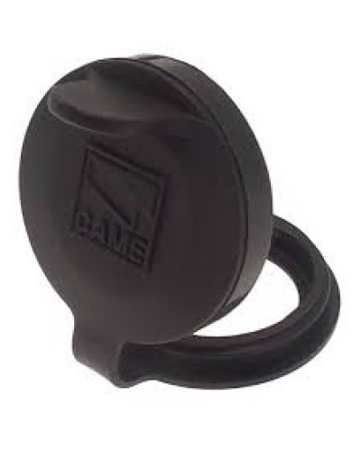 Защита целиндра замка A4366 Came 119RIA051 во Владивостоке Запчасти для шлагбаумов и автоматики Pintop.ru