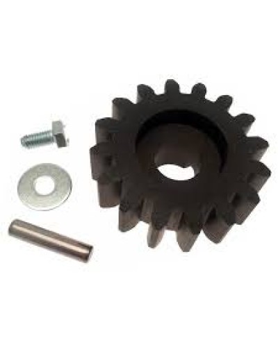 Шестерня для цепной передачи Came 119RIBK036 во Владивостоке Запчасти для шлагбаумов и автоматики Pintop.ru
