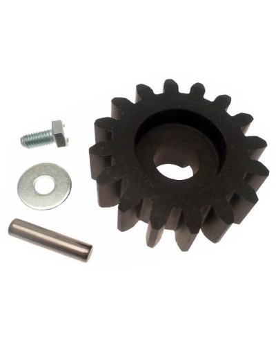 Шестерня пластиковая BXV800/1000 Came 119RIBS021 во Владивостоке Запчасти для шлагбаумов и автоматики Pintop.ru