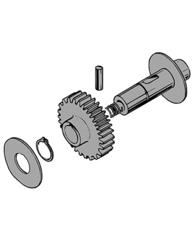 Вал в сборе C100 Came 119RIC011 во Владивостоке Запчасти для шлагбаумов и автоматики Pintop.ru