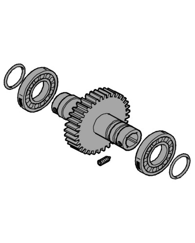 Вал выходной EMEGA Came 119RIE062 во Владивостоке Запчасти для шлагбаумов и автоматики Pintop.ru