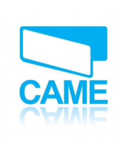 Конденсатор 31 MKF Came 119RIR299 во Владивостоке Запчасти для шлагбаумов и автоматики Pintop.ru