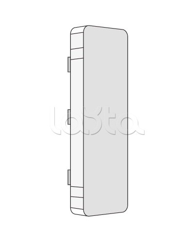 Заглушка LAN 100x60 DKC 00874 во Владивостоке Аксессуары для кабель-канала Pintop.ru