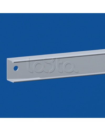 Притвор для секционной двери, для шкафов DAE/CQE Ш=600мм DKC R5TOE60 во Владивостоке Аксессуары для стоек и шкафов Pintop.ru