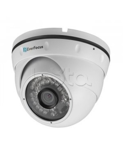 IP-камера видеонаблюдения купольная EverFocus ACE-IAV30 во Владивостоке IP-камеры Pintop.ru