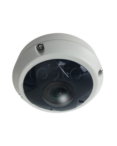 IP-камера видеонаблюдения купольная EverFocus ACE-KU89F во Владивостоке IP-камеры Pintop.ru