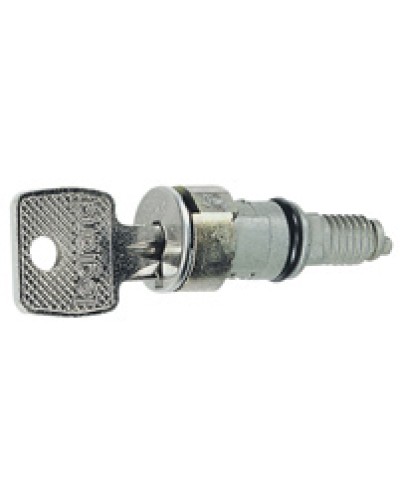 Вставка замка с ключами № 405 Legrand 036822 во Владивостоке Полки для шкафов и стоек Pintop.ru