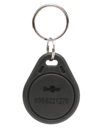 Брелок EmMarin Smartec ST-PT211EM-GR во Владивостоке Оптовые идентификаторы Pintop.ru