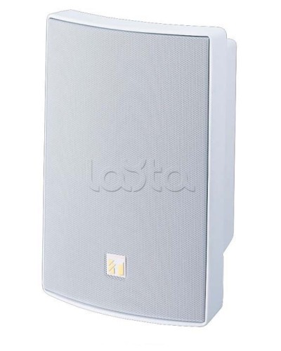 Громкоговоритель универсальный двухполосный TOA BS-1030W во Владивостоке Системы оповещения и трансляции TOA Pintop.ru