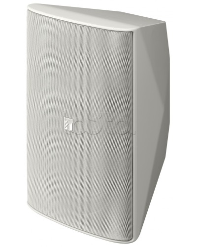 Громкоговоритель 2 полосный TOA F-2000 WT во Владивостоке Системы оповещения и трансляции TOA Pintop.ru