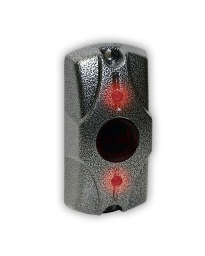 Олевс ЦИКЛОП ИК серебряный антик во Владивостоке Электромагнитные замки Pintop.ru