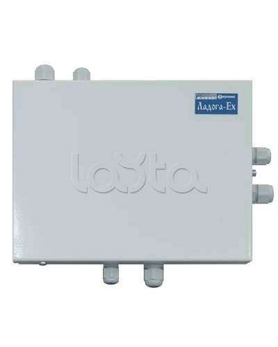 Блок расширения шлейфов сигнализации Риэлта БРШС-Ex во Владивостоке Системы охраны взрывоопасных объектов Pintop.ru