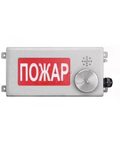 Табло светозвуковое взрывозащищенное Спектрон ТСЗВ-Exi-Н-Прометей-МИНИ 12-36В во Владивостоке Оповещатели Ex Pintop.ru