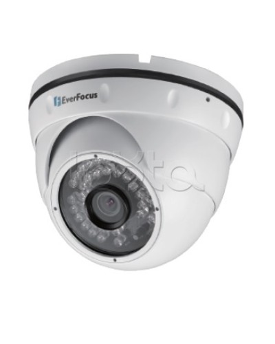 IP-камера видеонаблюдения уличная купольная EverFocus EBN-268 во Владивостоке IP-камеры Pintop.ru