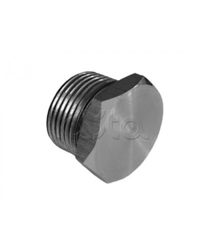 Металлическая резьбовая заглушка взрывозащищённая Магнито-контакт Ех-заглушка ВЗ 1 М Н (под Ø 20) 1Ex d IIС Gb/PB Ex d I Mb или Ex tb IIIС Db или 0Ex ia IIC Ga или 1Ex e IIС Gb во Владивостоке Дополнительное оборудование (Ex) Pintop.ru