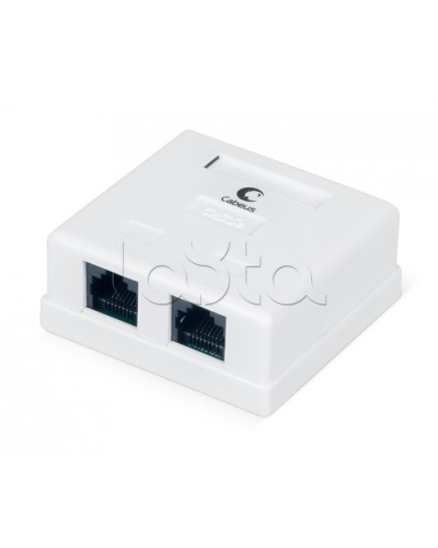 Розетка компьютерная RJ-45, категория 5e, двойная, внешняя, Dual IDC Cabeus WS-8P8C-Cat.5e-2 во Владивостоке Розетки компьютерные и телефонные Pintop.ru