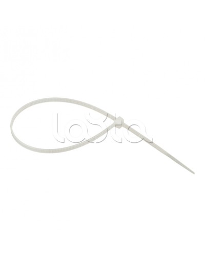 Хомут нейлоновый (3,6х250) (100шт.) EKF Basic (plc-c-3.6x250) во Владивостоке Стяжки-хомуты Pintop.ru