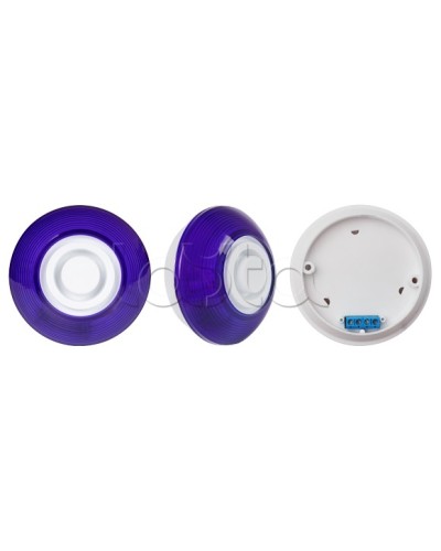 Оповещатель комбинированный SLT Марс 12-КП (строб, син) во Владивостоке Оповещатели Pintop.ru