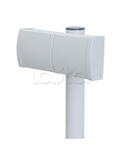 Извещатель радиоволновой однопозиционный Forteza ЗЕБРА-42(5,8)-В (веер) во Владивостоке Извещатели охраны периметра Pintop.ru