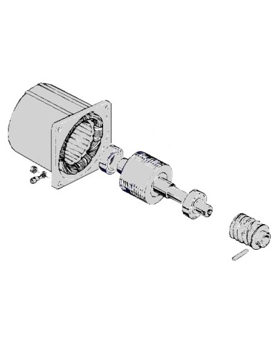 Электродвигатель С-100 Came 119RIC052 во Владивостоке Запчасти для шлагбаумов и автоматики Pintop.ru