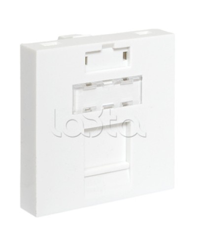 Вставка розеточная TERACOM PRO 45x45мм формат Mosaic на 1 модуль Keystone белая EKF (TRP-INS-MOS-2M1P-WH) во Владивостоке Розетки компьютерные и телефонные Pintop.ru