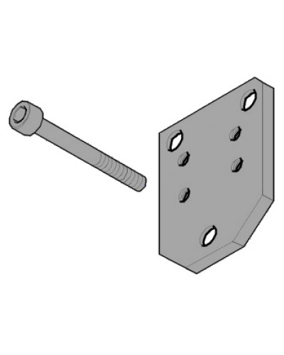 Пластина монтажная FLEX Came 119RID143 во Владивостоке Запчасти для шлагбаумов и автоматики Pintop.ru