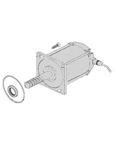 Электродвигатель Came 119RIA025 во Владивостоке Запчасти для шлагбаумов и автоматики Pintop.ru