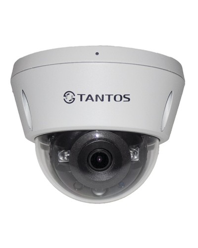 IP-видеокамера в купольном исполнении Tantos TSi-Vn253VZ во Владивостоке IP-камеры Pintop.ru
